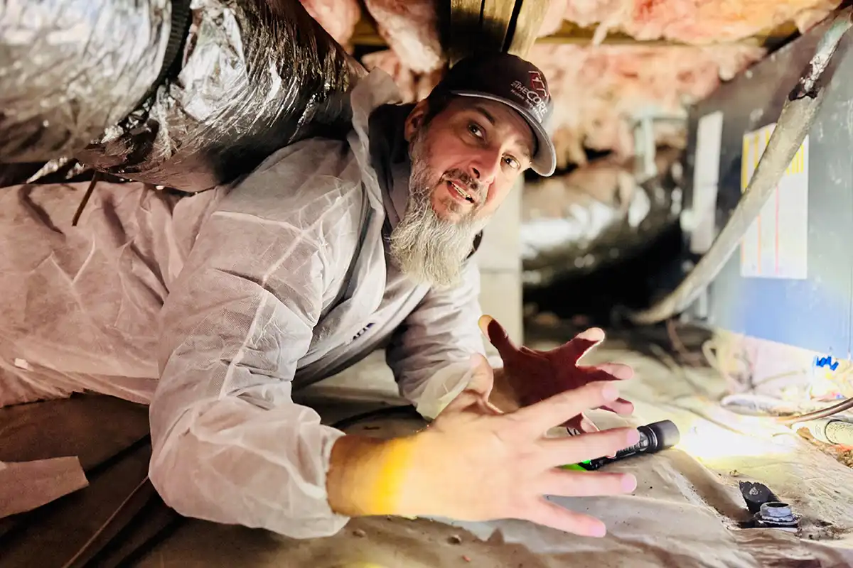 damp crawl space damp crawl space